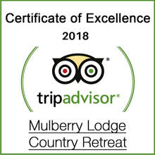 PictureMulberry Lodge Country Retreat - McLaren Vale Wine Region  