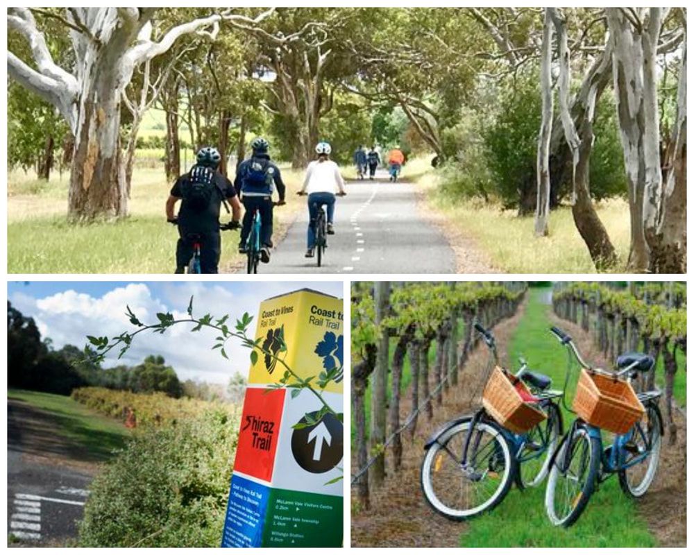 Cycle the Shiraz Trail from Mulberry Lodge 