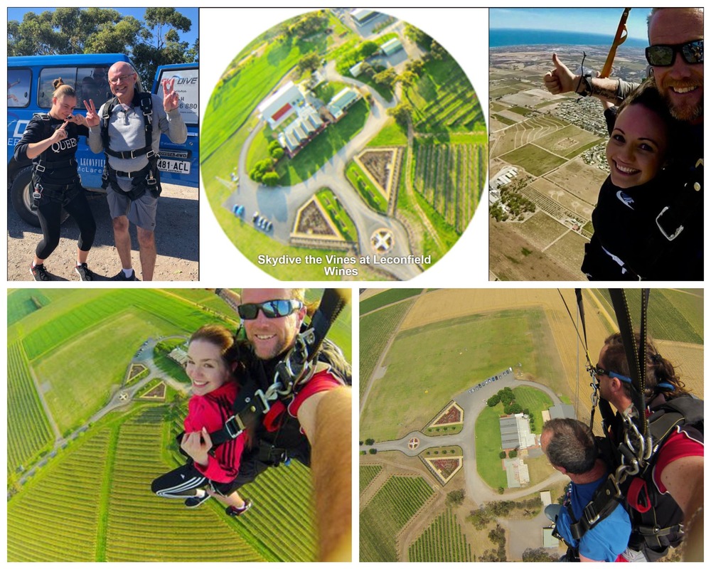 Sky Dive the Vines from Leconfield Winery - Close to Mulberry Lodge Country Retreat  